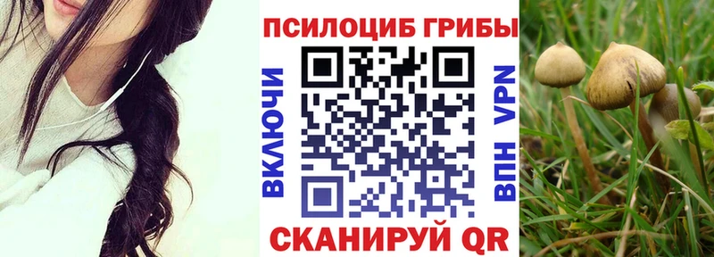 Галлюциногенные грибы Magic Shrooms  Волчанск 